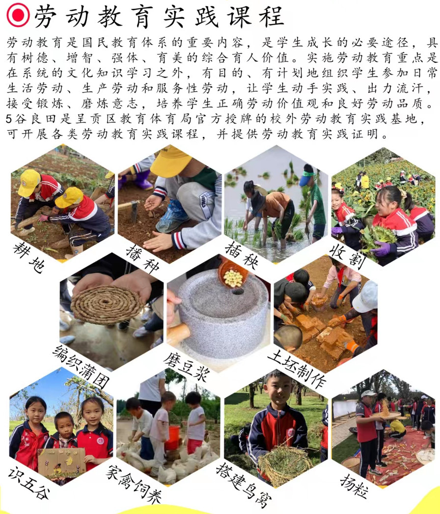 劳动教育实践.jpg