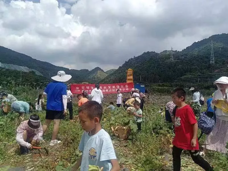 制作懒豆腐