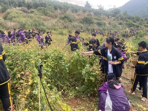 西南联大高二年级劳动实践
